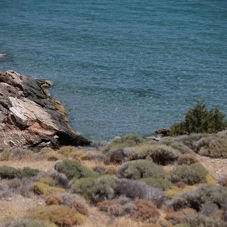 Evdokia-cozy Olive Yard With Aegean View Apartment *