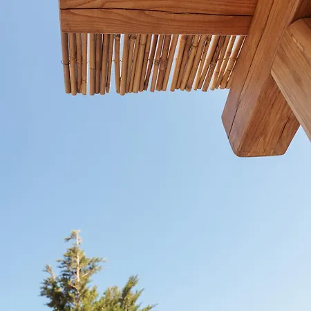 Apartment Evdokia-cozy Olive Yard With Aegean View Kanaki